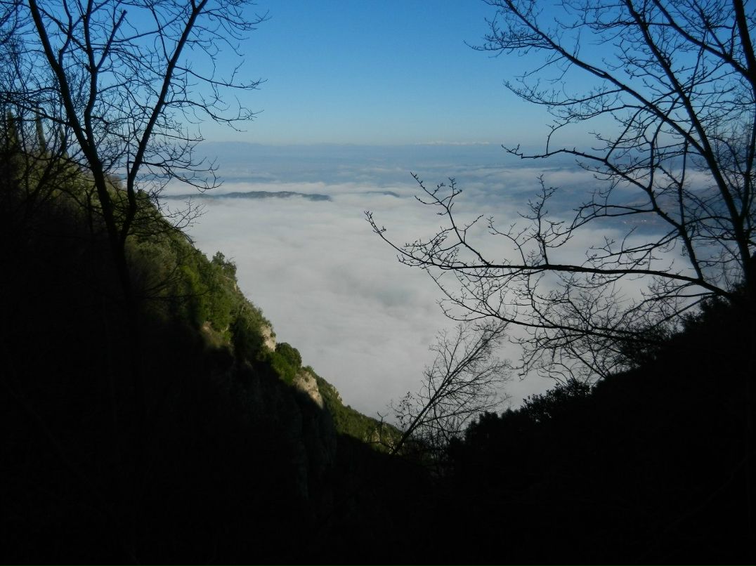 Галина Бугрова | Москва