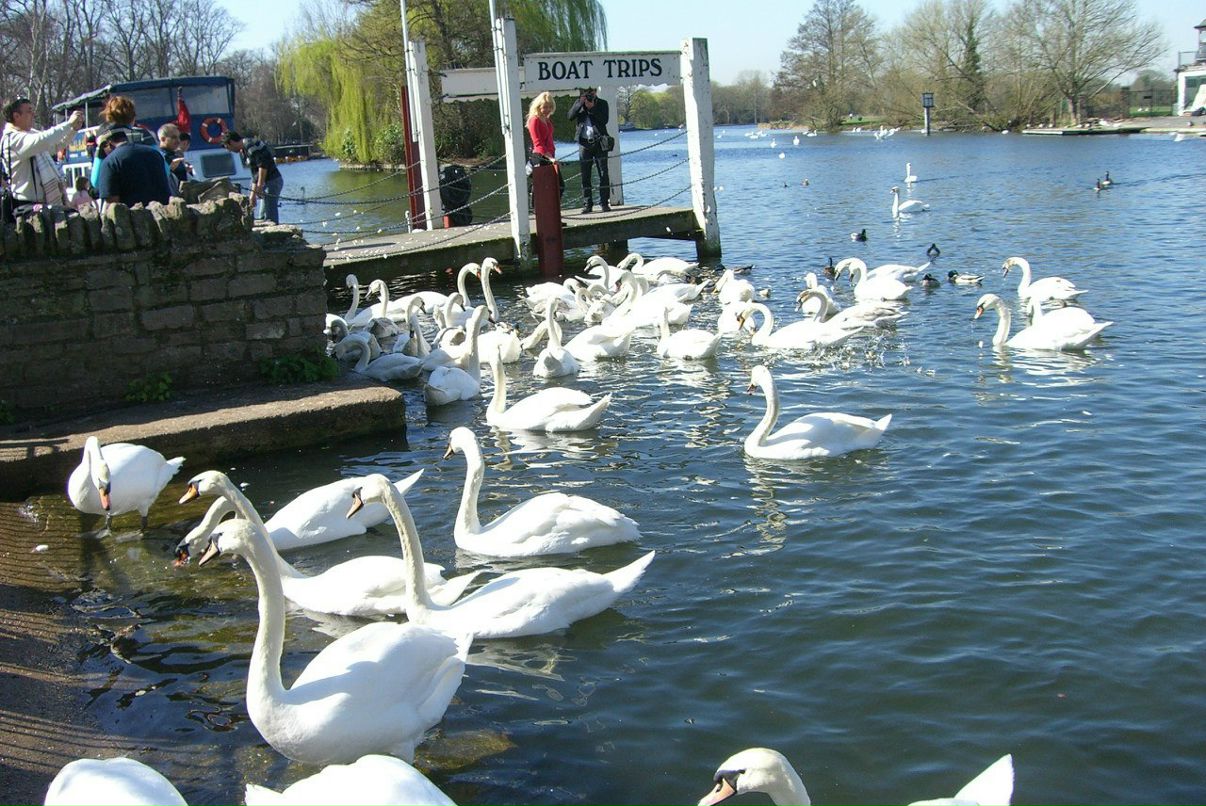 Татьяна Власова | Санкт-Петербург