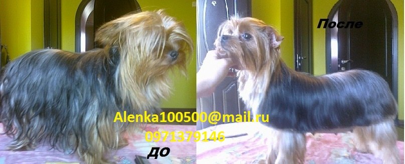 Алёнка Garbyzik | 