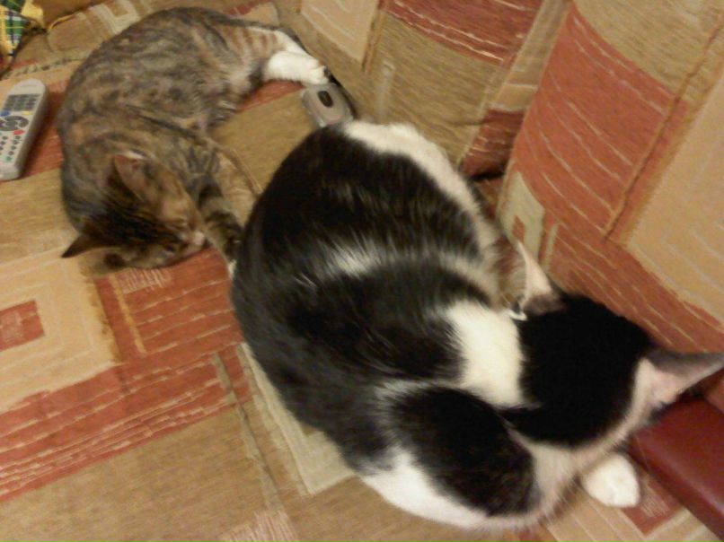 Лилия Козлова | Набережные Челны