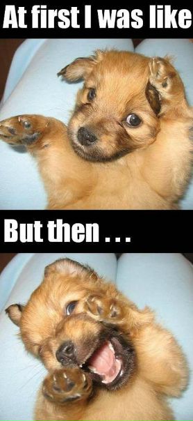 №11, Сашка Ковтун, 34 года, Винница №11, Сашка Ковтун, 34 года, Винница