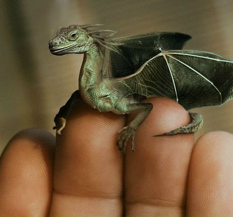 Мария Полякова | Москва