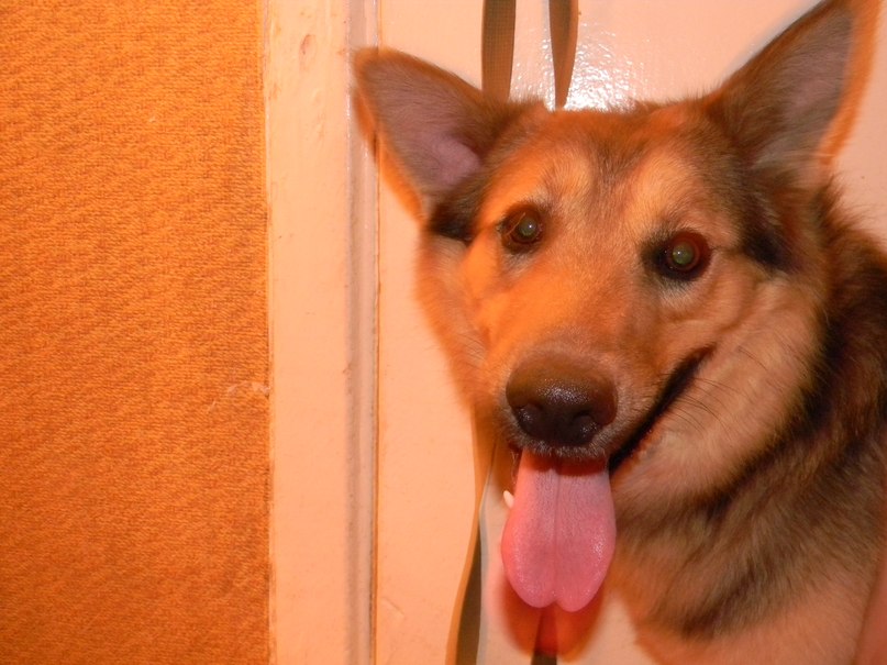 Янна Нецветаева Эдуардовна | Новосибирск