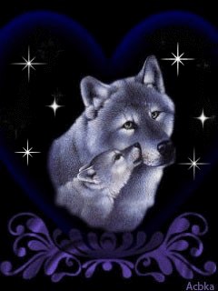 №106, Вера Попова, Воронеж №106, Вера Попова, Воронеж