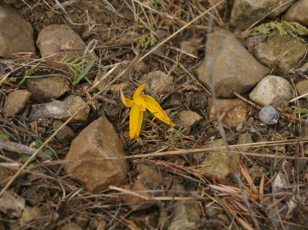 Марина Резчикова | Москва