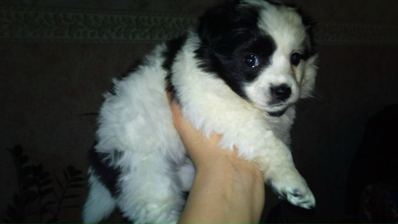 Ирина Онищенко | Братск