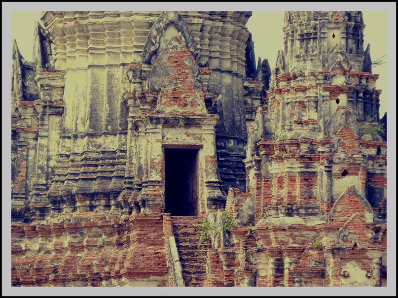 Ксения Федосеева | 