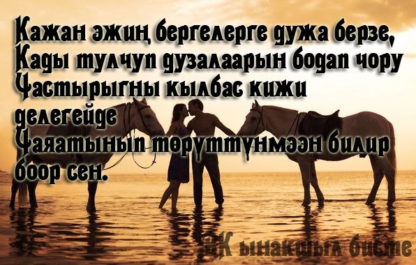 №14, Айдыс Саая №14, Айдыс Саая