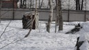Фотография Стекольникова Ивана