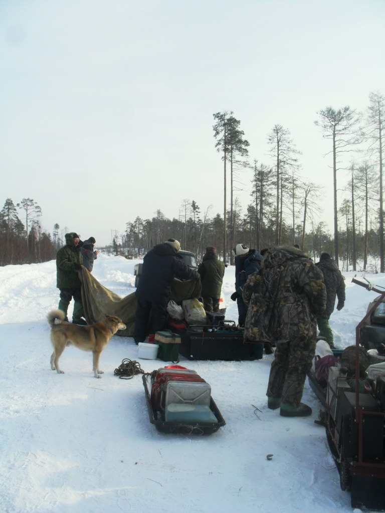 Александр Сафронов | Северодвинск
