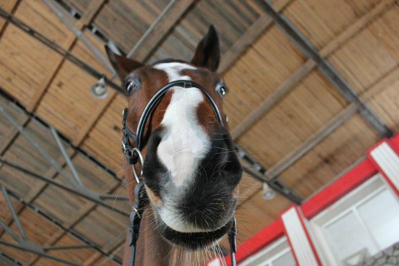 Юлия Белова | Санкт-Петербург