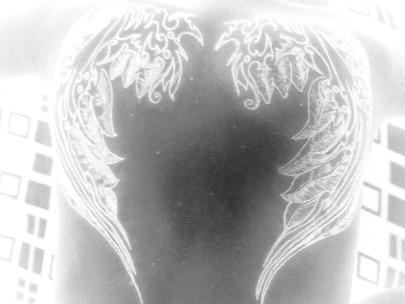 Mehmet Aydoğdu | Antalya