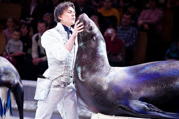 Василий Тимченко | Москва