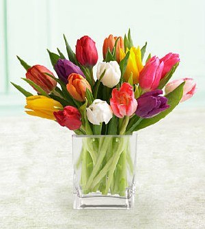 Мирослава Ящук | Калуш