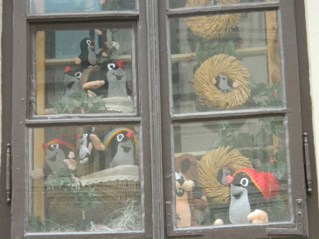 Ксения Никифорова | 