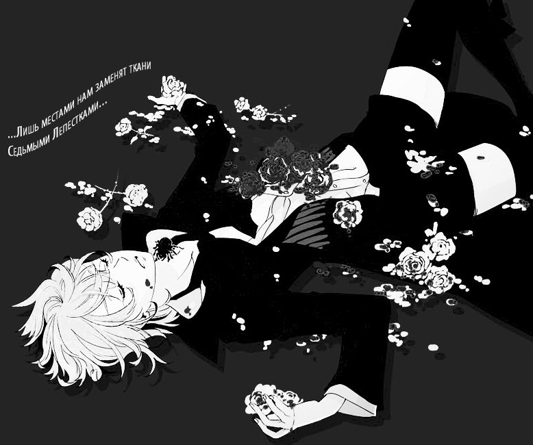 Кот Shator Adviser(N/A) | Москва