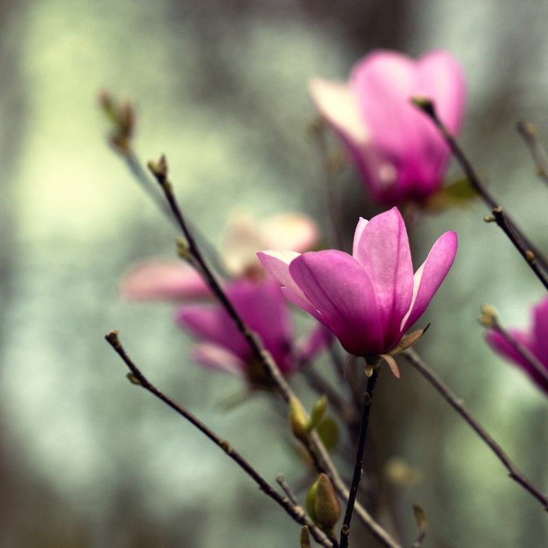 Сергей Рогозин | Екатеринбург