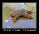 Фотография Сергеевич Димка