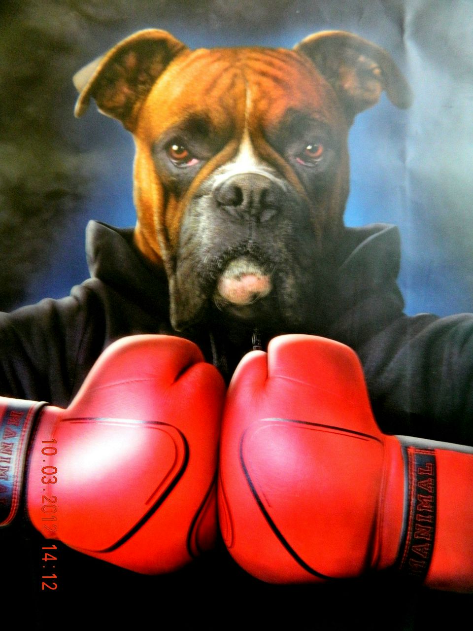 Олег Поспелов | Сочи