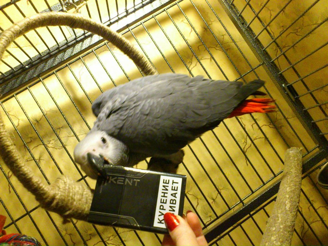 Мария Лактюшина | Москва