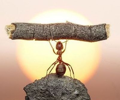 Вадим Локтюшин | Набережные Челны