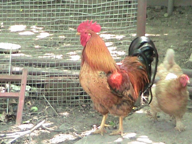 Павел Житков | Санкт-Петербург