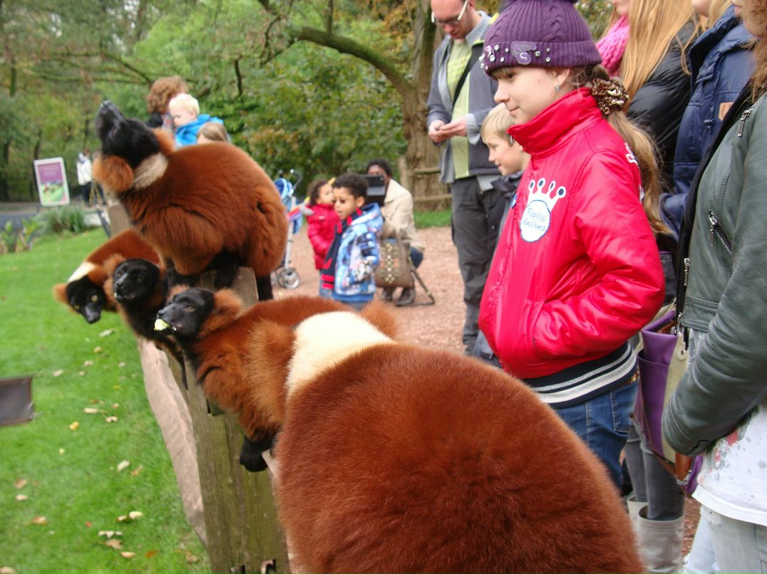 Ирина Романова | Bournemouth