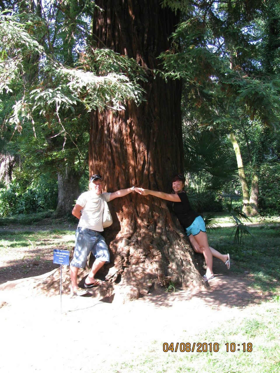 Сергей Воронец | Санкт-Петербург