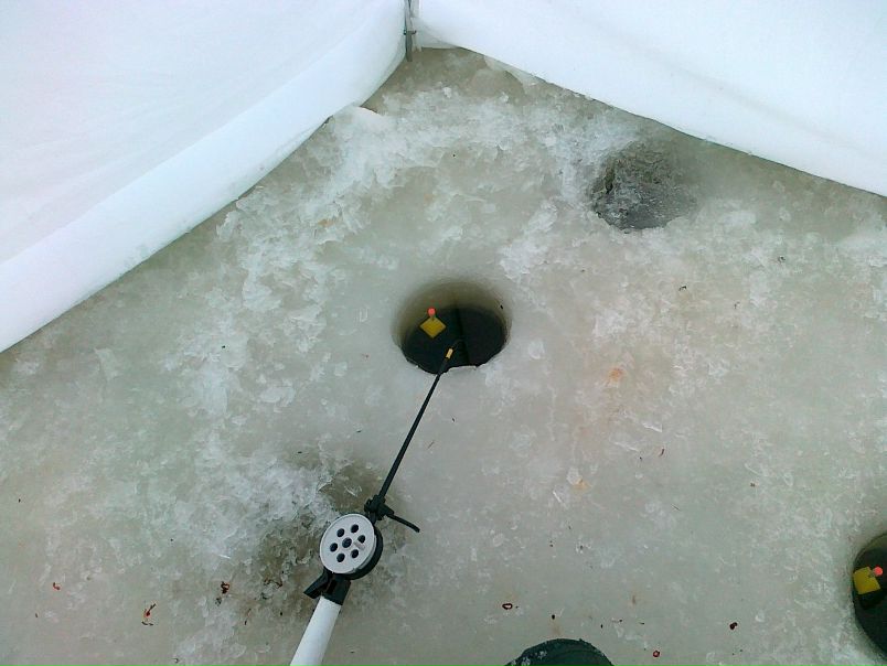 №11, Сергей Забалуев, 51 год, Москва №11, Сергей Забалуев, 51 год, Москва