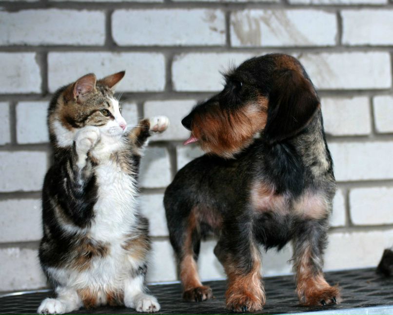 Алла Иванова | Санкт-Петербург