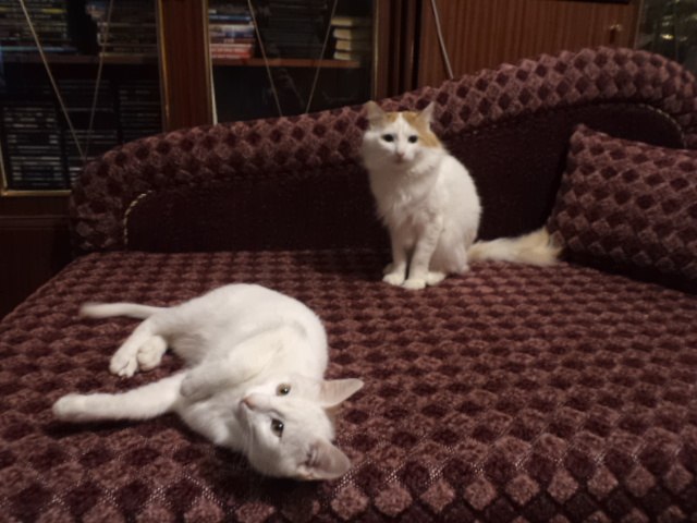 Ольга Антонова Сергеевна | Норильск