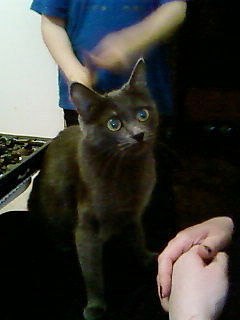 Виктор Золотарёв | Киев