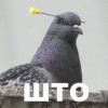 Аватар: Hittwice Example