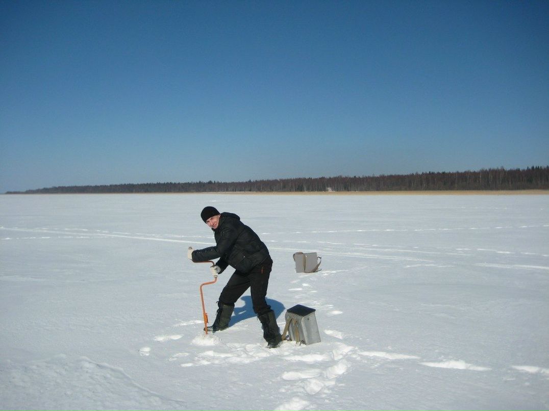 Алексей Матвеев | 