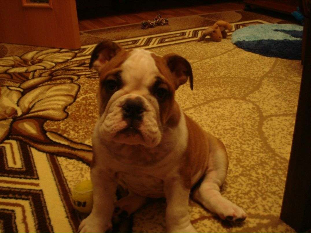 Ольга Филатова | Санкт-Петербург