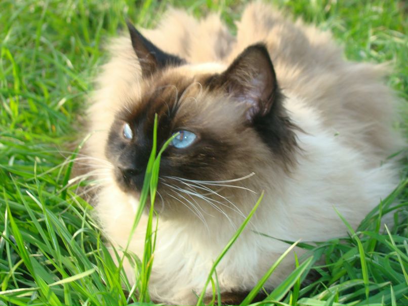 Татьяна Притула | 