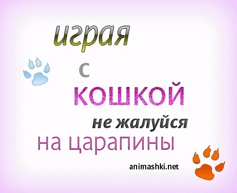 №58, Анна Диесперова, Мариуполь №58, Анна Диесперова, Мариуполь