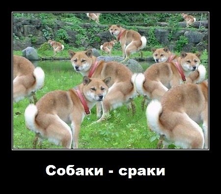 Денис Верстаков | Санкт-Петербург