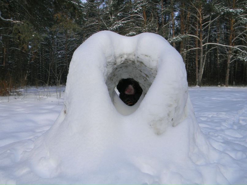 Ирина Головина | Серпухов