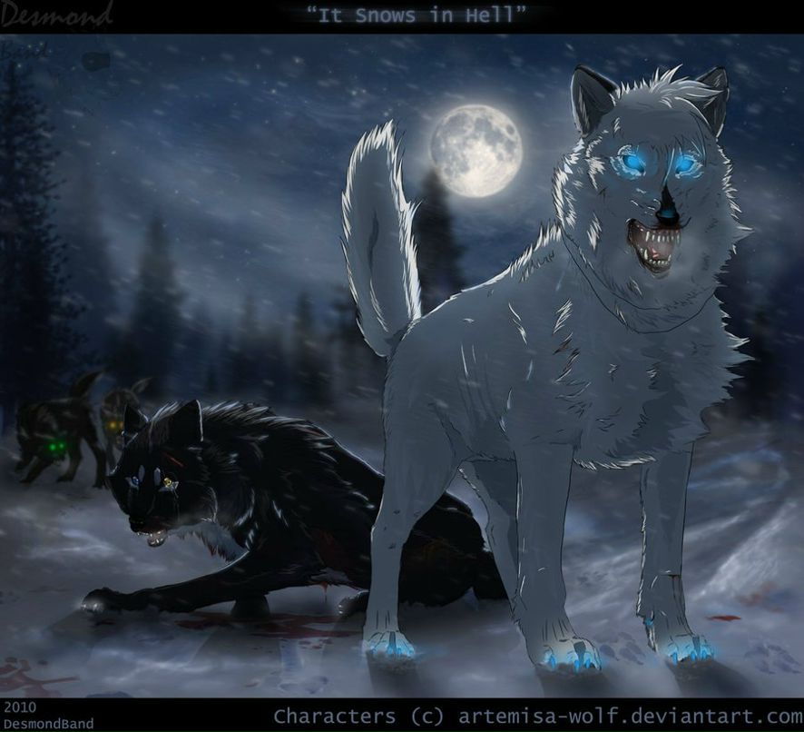 Masha Volkova | Гирей