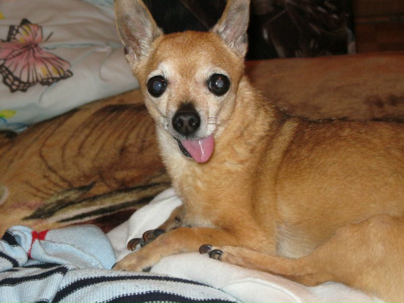 №1, Виктория Бейлик №1, Виктория Бейлик