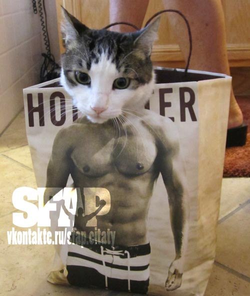 Евгений Дреко | Oulu