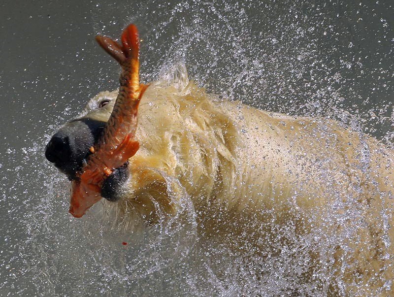 Тамара Синева | Москва