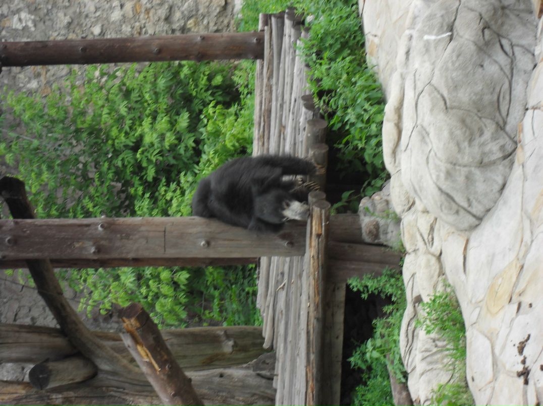 Анна Яковлева Дмитриевна | Клин