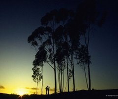 Софья Алейникова | Калининград