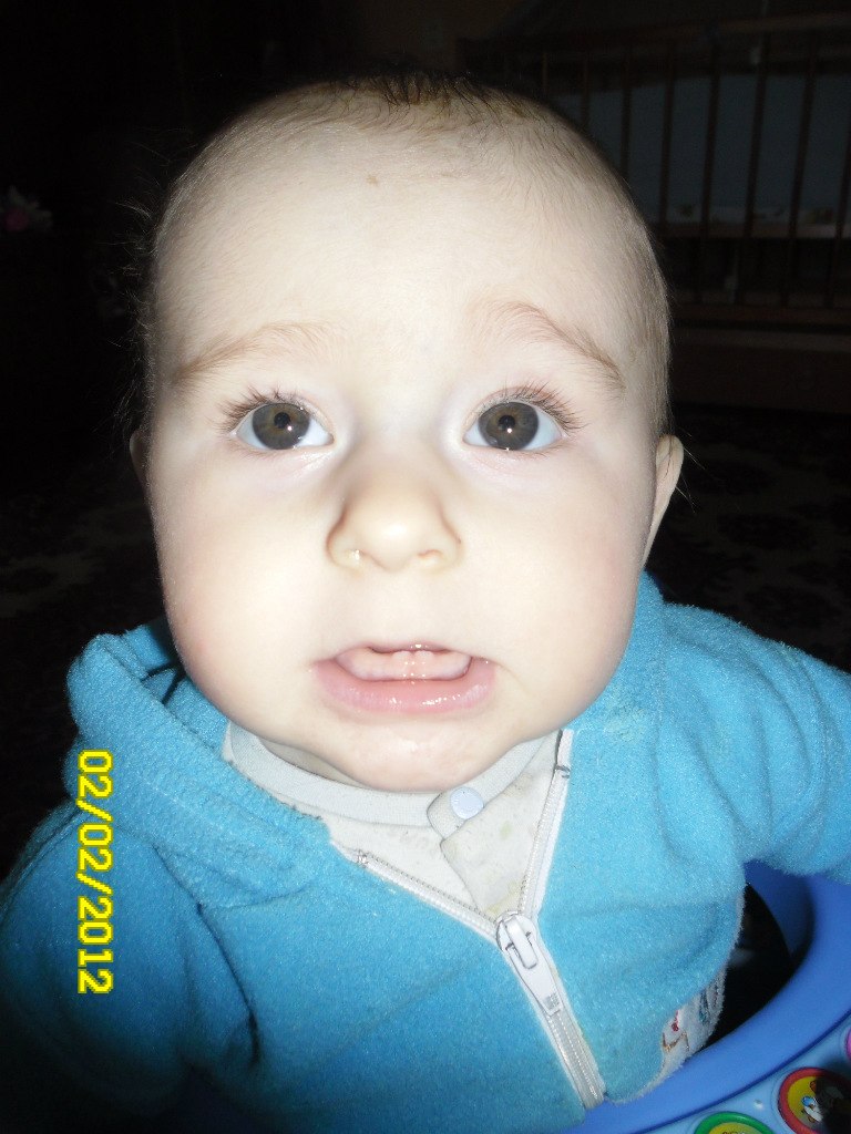 Юлія Смаль | Сокаль