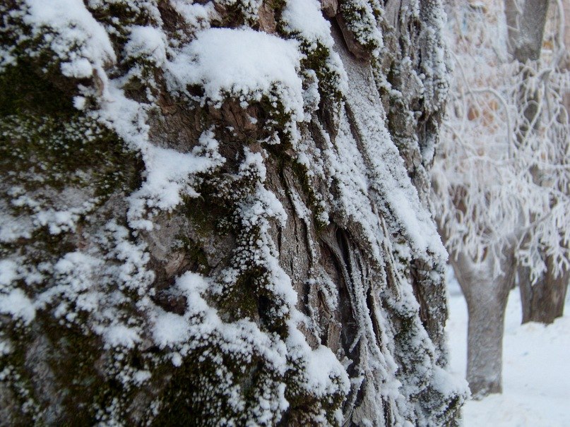 Мария Ахметянова | Челябинск