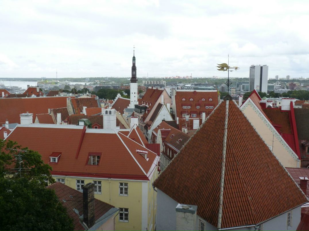 Ирина Фирсова | Санкт-Петербург