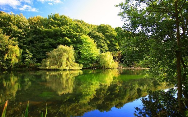 Антон Бабич | Череповец