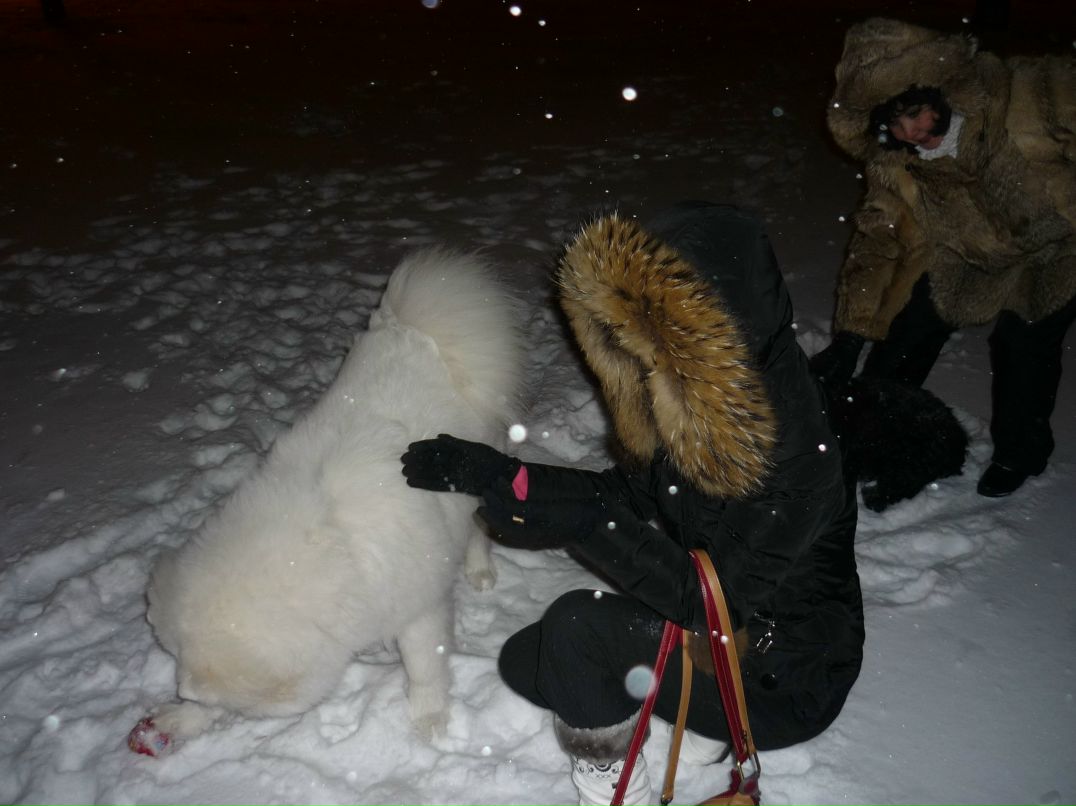 Елена Охрименко-Александрова | 